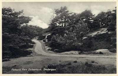 10138 Gezicht op een pad in een bos met naaldbomen bij Driebergen-Rijsenburg.